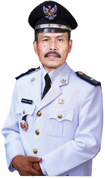 Kepala Desa